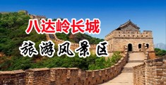 美女光腚的被操逼干阴道毛中国北京-八达岭长城旅游风景区