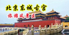 一群男人艹一个女孩的逼黄污影片免费中国北京-东城古宫旅游风景区